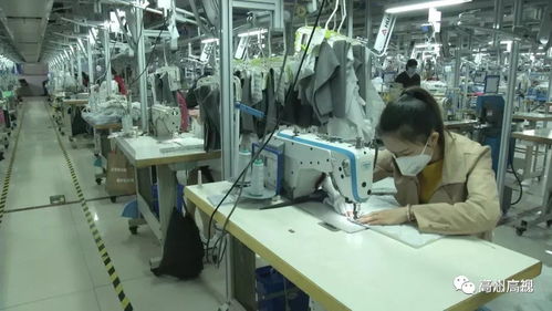 高州企業逐步迎來復工，疫情防控墻成開工必備次元墻