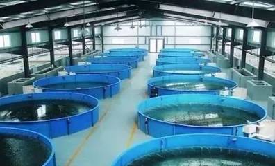 既要養(yǎng)好魚，又要護生態(tài) 一文秒懂《工廠化水產(chǎn)養(yǎng)殖系統(tǒng)》安裝指南